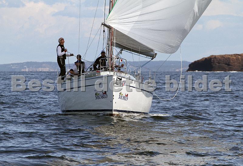 ORCi2 564.jpg